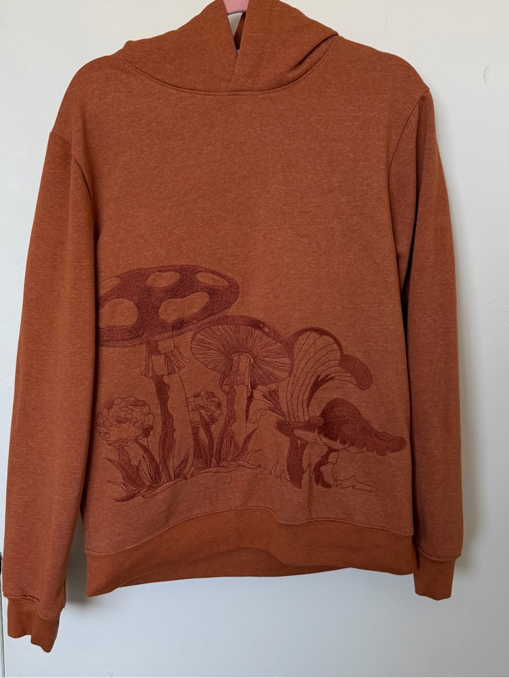 Women’s Rust Mushroom Graphic Hoodie Sweater